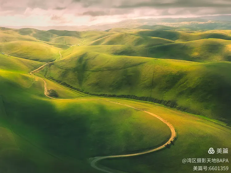 曲折有致巧勾画,迂回婉转揽烟霞 — s曲线主题专刊